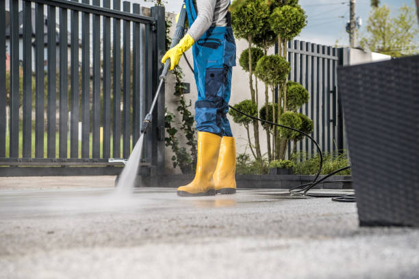 Best Driveway Pressure Washing  in Lightstreet, PA